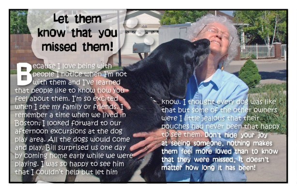 Shadow's Law's Part 2