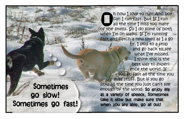 Shadow's Law's Part 4