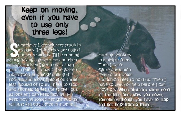 Shadow's Law's Part 4