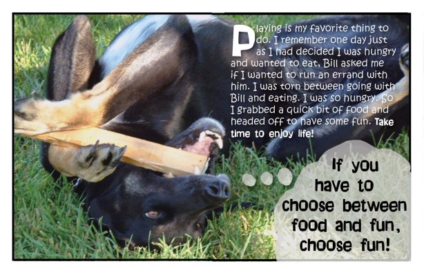 Shadow's Law's Part 5