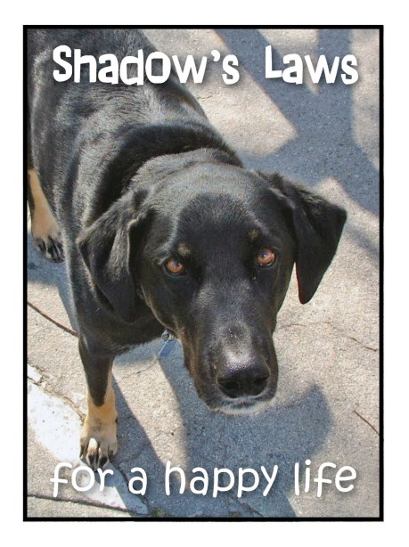 Shadow's Law's Part 1