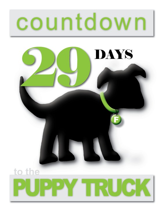 day 29 Puppy Truck Countdown