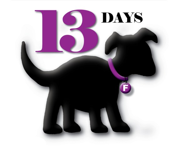 Puppy Truck Countdown14