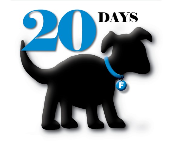 Puppy Truck Countdown21