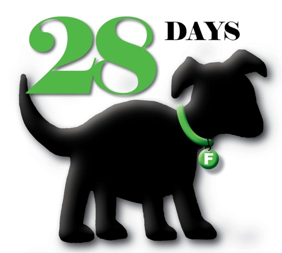 Puppy Truck Countdown29